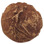 truffe reguliere